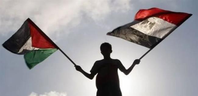 دعم مصري ثابت وكبير للقضية الفلسطينية منذ عام 1948 