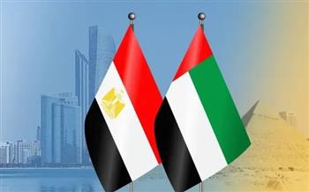   تعاون وثيق وشراكات متبادلة بين مصر والإمارات في مجال الأمن السيبراني