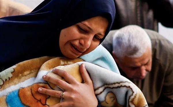 سيدة غزية وطفلها وقطتها.. رحلة إنسانية تحت القصف للعودة إلى الديار