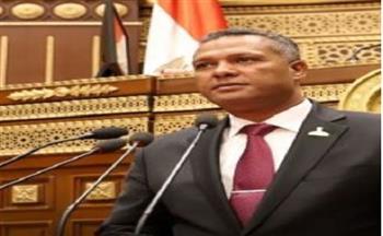 عضو بالشيوخ يدعم مصر في موقفها الرافض تهجير الفلسطينيين