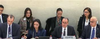   وزير الخارجية: مصر تحقق تقدمًا في حقوق الإنسان بإرادة سياسية قوية