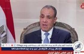   وزير الخارجية: مصر تحقق إنجازات ملحوظة في حقوق الإنسان