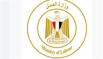   الراتب 8800 جنيه.. تفاصيل إعلان وزارة العمل عن 100 وظيفة جديدة 