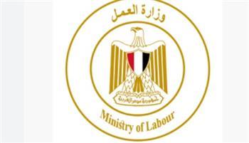الراتب 8800 جنيه.. تفاصيل إعلان وزارة العمل عن 100 وظيفة جديدة