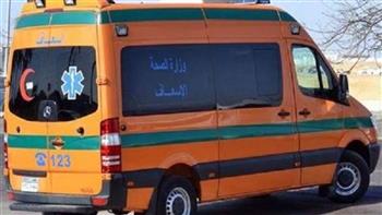   وفاة 3 وإصابة 14 في تصادم ميكروباص ونقل بـ"صحراوي أسيوط"
