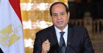   الإعلاميون والأكاديميون العرب يؤيدون موقف مصر تجاه القضية الفلسطينية