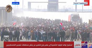   بالعلم الفلسطيني .. استمرار توافد الوفود الشعبية على معبر رفح