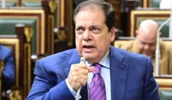   لا لتهجير الفلسطينيين.. محمد أبو العينين: الشعب المصري يؤيد موقف الرئيس السيسي