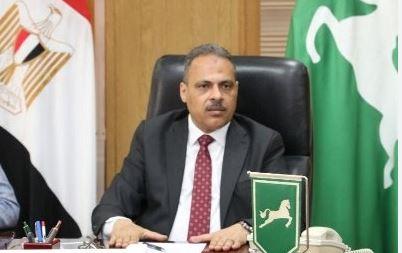 محافظ الشرقية: الدولة تولي اهتماماً كبيراً بتطوير البنية التحتية ورفع كفاءتها