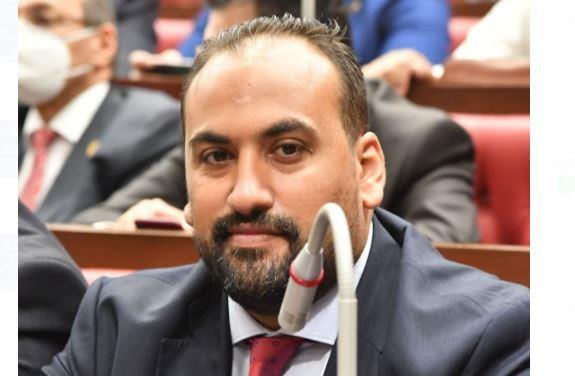 الرشيدي: القمة الثلاثية بين مصر واليونان وقبرص تعزز من جهود السلام والتنمية الاقتصادية