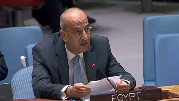 مندوب مصر بمجلس الأمن: ندعم الجهود العربية العملية في سوريا