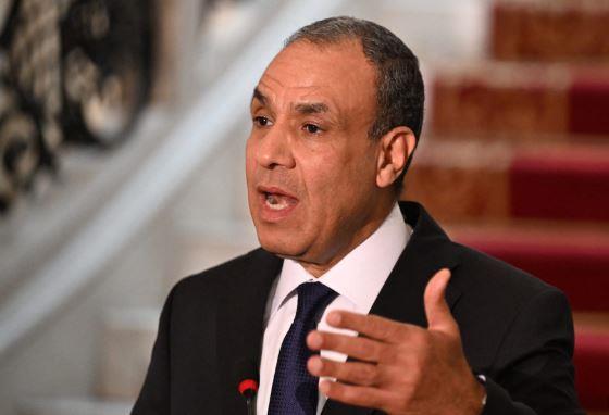وزير الخارجية يستعرض جهود مصر الرامية لوقف الحرب الإسرائيلية على غزة 
