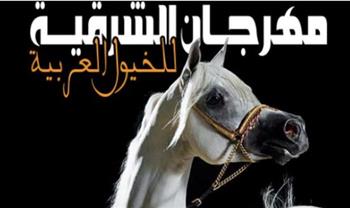   الشرقية: انطلاق مهرجان الخيول العربية بمشاركة 5 دول عربية وأجنبية