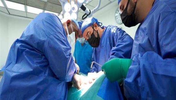 خبير مصري عالمي يجري 28 عملية زراعة أعضاء