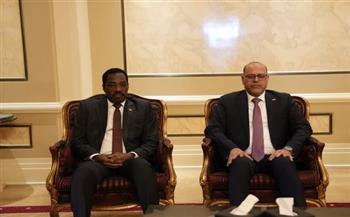   مصر والسودان تبحثان تفعيل التعاون في ملفات العمل المشتركة