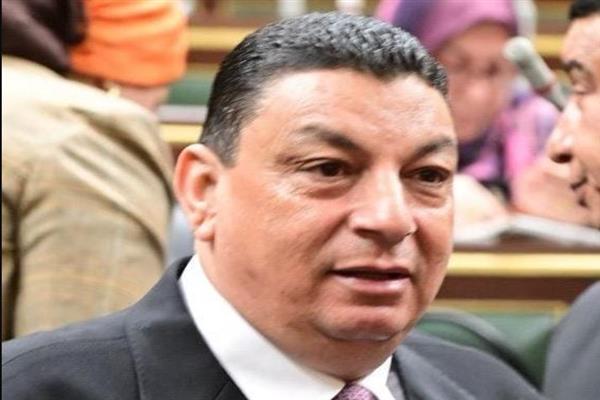 سامي نصر الله: قمة شرم الشيخ تؤكد ريادة مصر لإحلال السلام في المنطقة