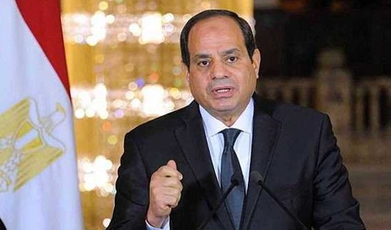 الرئيس السيسي: من المهم تعزيز تواجد كبرى الشركات الألمانية في السوق المصري