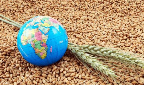 الأمن الغذائي والمائي يتصدر أولويات العالم.. نتائج استطلاع عالمي تكشف ما يشغل المواطنين