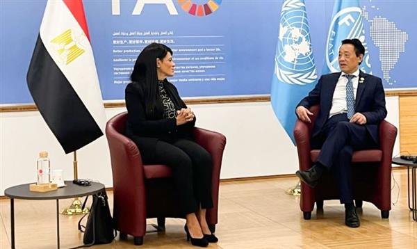 وزيرة التخطيط تبحث مع مدير الفاو تعزيز العلاقات المشتركة في مجال الأمن الغذائي