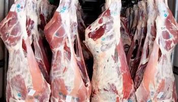   استقرار أسعار اللحوم في الأسواق.. بكام النهاردة؟
