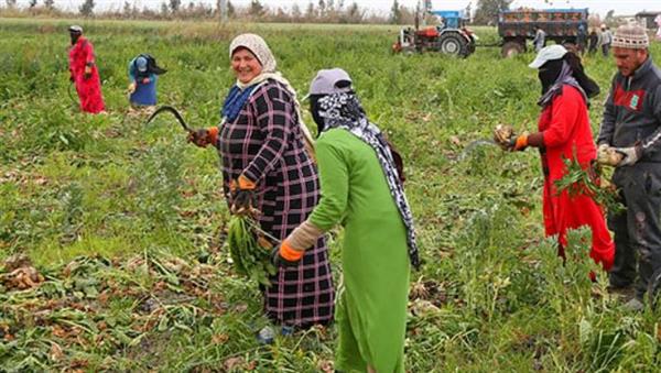 في اليوم الدولي للمرأة الريفية 2025: أيادي تُطعم العالم وتبني المستقبل