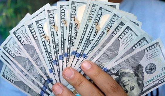 استقرار سعر الدولار اليوم أمام الجنيه المصرى