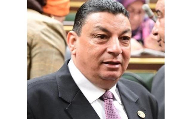نصر الله: فوز مصر بمجلس حقوق الإنسان انتصار للجمهورية الجديدة
