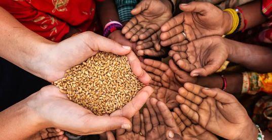 اليوم العالمي للأغذية.. دعوة أممية لمكافحة الجوع وتحقيق الأمن الغذائي في عالم متغير