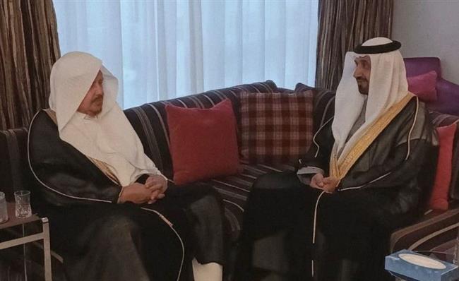 رئيس البرلمان العربي يلتقي رئيس مجلس الشورى السعودي في جنيف