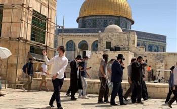   مستوطنون إسرائيليون يقتحمون المسجد الأقصى