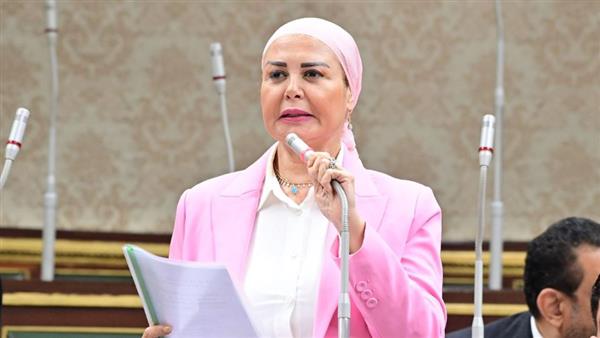 سلامة: مصر تقود معركة وعي جديدة لبناء المستقبل