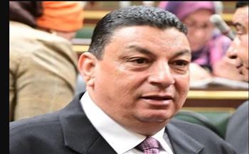   سامي نصر الله: تصريحات الرئيس بالندوة التثقيفية تجسد حقيقة تضحيات المصريين