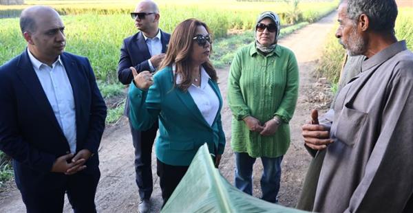 وزيرة التنمية المحلية تفاجئ مزارعي الأرز.. ماذا طلبت منهم؟