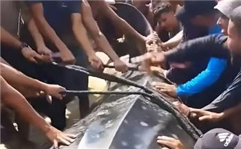   تكفي 14 ألف شخص.. اصطياد سمكة قرش عملاقة بشواطئ غزة