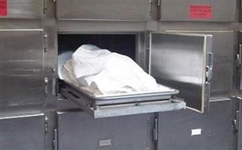   انتشال جثة شخص غرق فى نهر النيل بالقاهرة