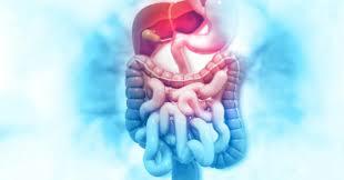 طعامك دواؤك.. 11 نوعًا من الأطعمة تُعيد التوازن لجهازك الهضمي وتخفف الإمساك