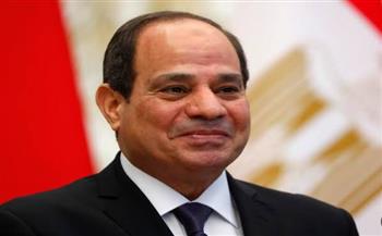   استقبال حافل للرئيس السيسي من الجاليات المصرية في بروكسل