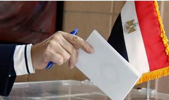   انتخابات مجلس النواب.. لقاء تنسيقي مهم بين "الخارجية" و"الوطنية للانتخابات"
