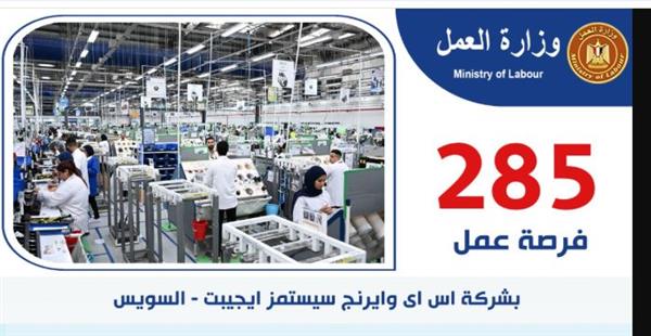 وزارة العمل: 285 فرصة عمل جديدة بشركة «إس آي وايرنج سيستمز إيچبت» بالسويس