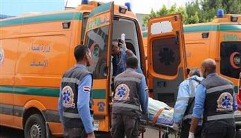   بالأسماء.. إصابة 6 فى حادث تصادم سيارة ميكروباص ونقل بمدخل أسوان الجديدة