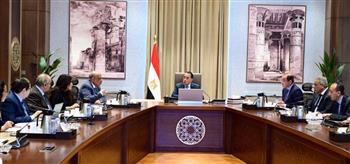   رئيس الوزراء يتابع الموقف التنفيذي والمالي لمشروع المحطة النووية بالضبعة