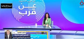   "مشرفة": الدور المصري في وقف إطلاق النار بغزة كان محوريًا وحاسمًا