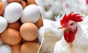   أسعار الفراخ في بورصة الدواجن اليوم 