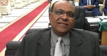 محمد سمارة: المتحف المصري الكبير تجسيد لعبقرية الإنسان المصري عبر العصور