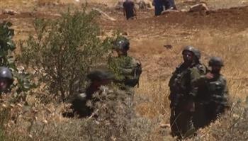 ولاء السلامين: أكثر من 200 اعتداء على الفلسطينيين منذ بدء موسم قطف الزيتون