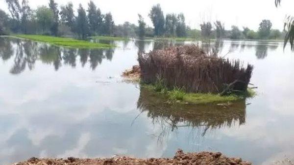 «الري»: حذرنا مرارًا المتعدين على أراضي طرح النهر من ارتفاع منسوب النيل