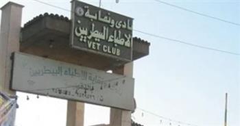   الأطباء البيطريون يدعون للرفق بالحيوان ونشر الرحمة