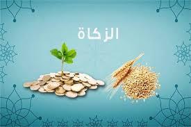   ما حكم زكاة الأسهم..؟ الإفتاء توضح