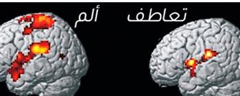   الخلايا العصبية المرآتية... كيف تنتقل المشاعر السلبية من شخص لآخر دون وعي؟