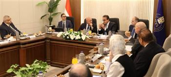   اجتماع حكومي: المصريون اشتروا أدوية بـ 36.5 مليار جنيه في شهر واحد